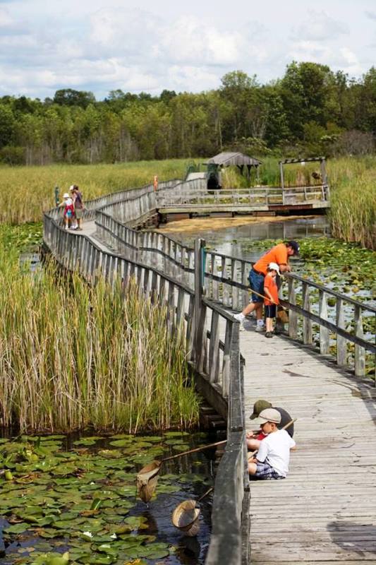 Wye Marsh Wildlife Centre Boardwalk, Midland, Ontario