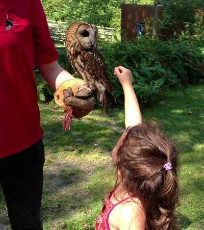 Wildlife education programs at the Wye Marsh Wildlife Centre, Midland, Ontario