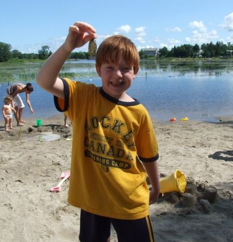 a wee sunfish on the beach