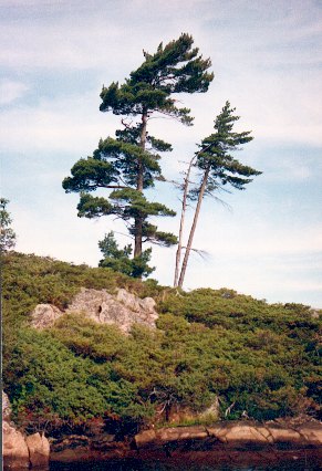 Georgian Bay waterfront