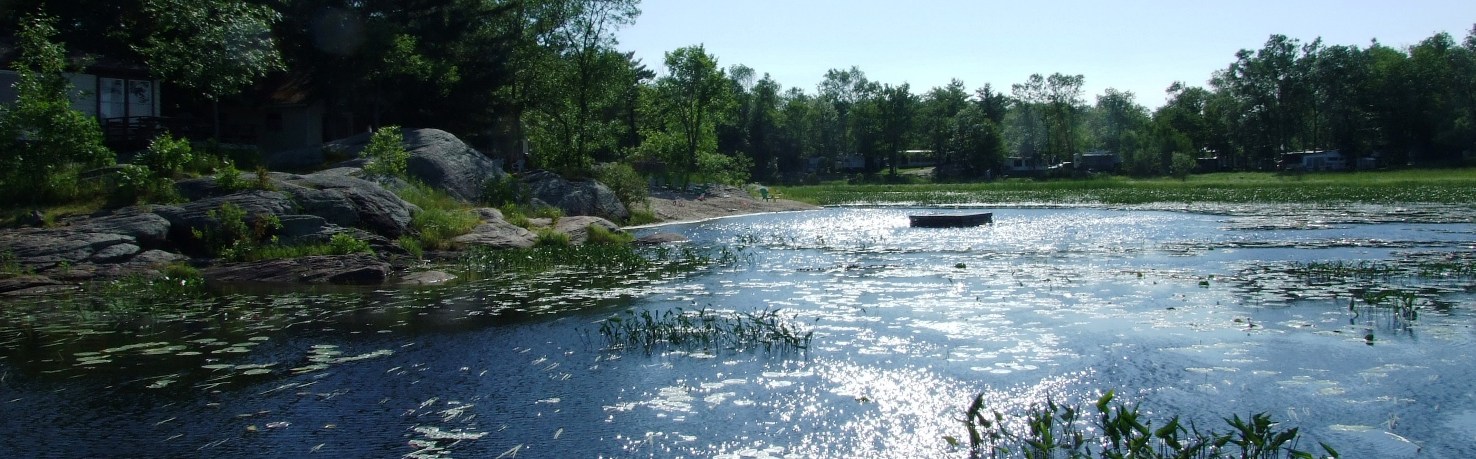 Elm Cove Waterfront