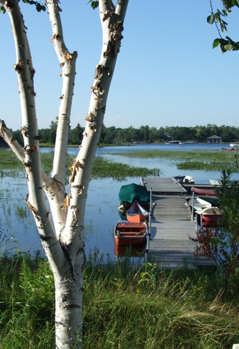 Elm Cove Docks