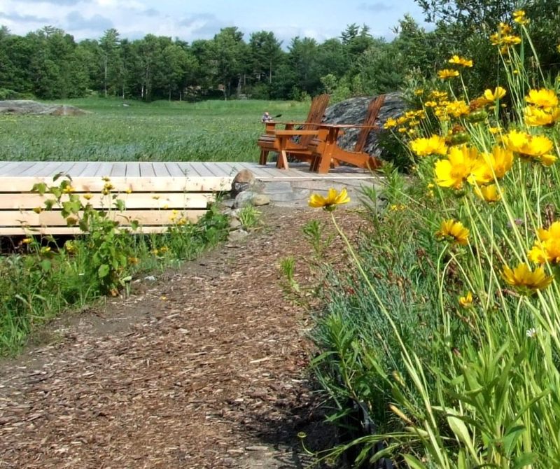 pathway to the dock