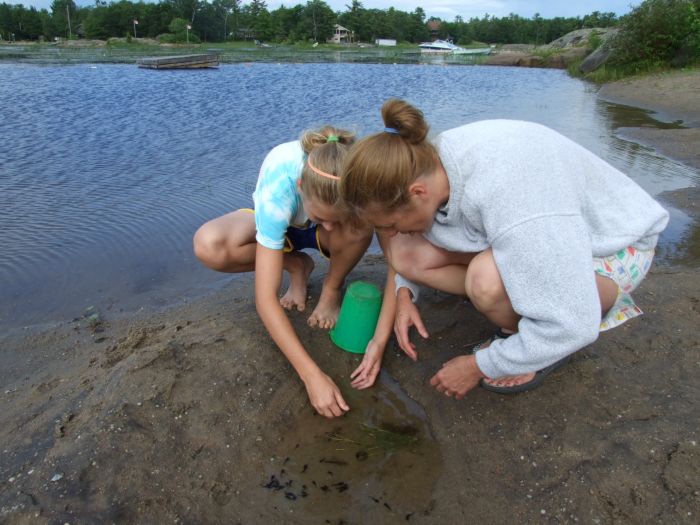fascinating minnows