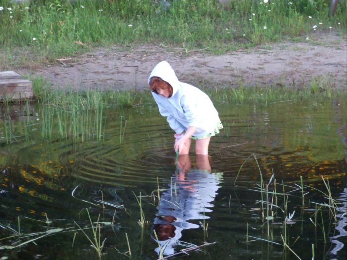 searching for minnows by the dock