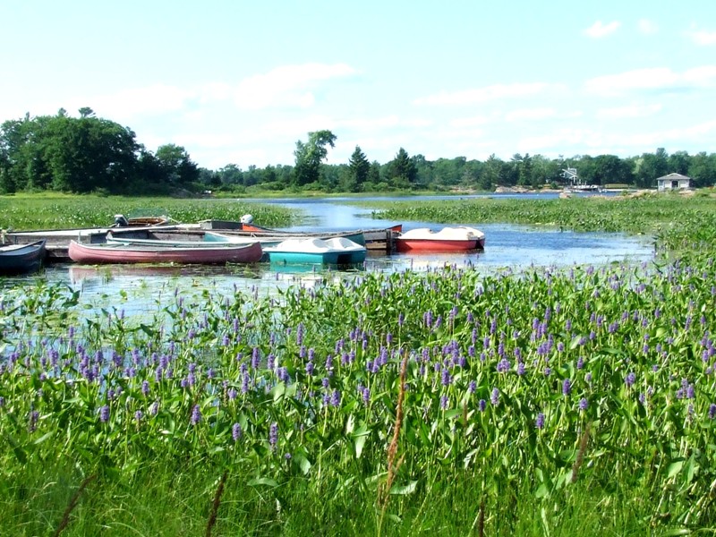 Getting ready to go out in boats!