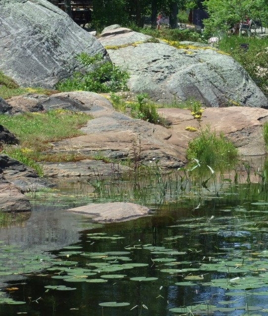 Elm Cove waterfront