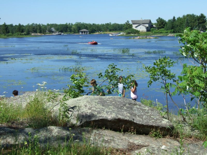 Georgian Bay shoreline by cottage #5