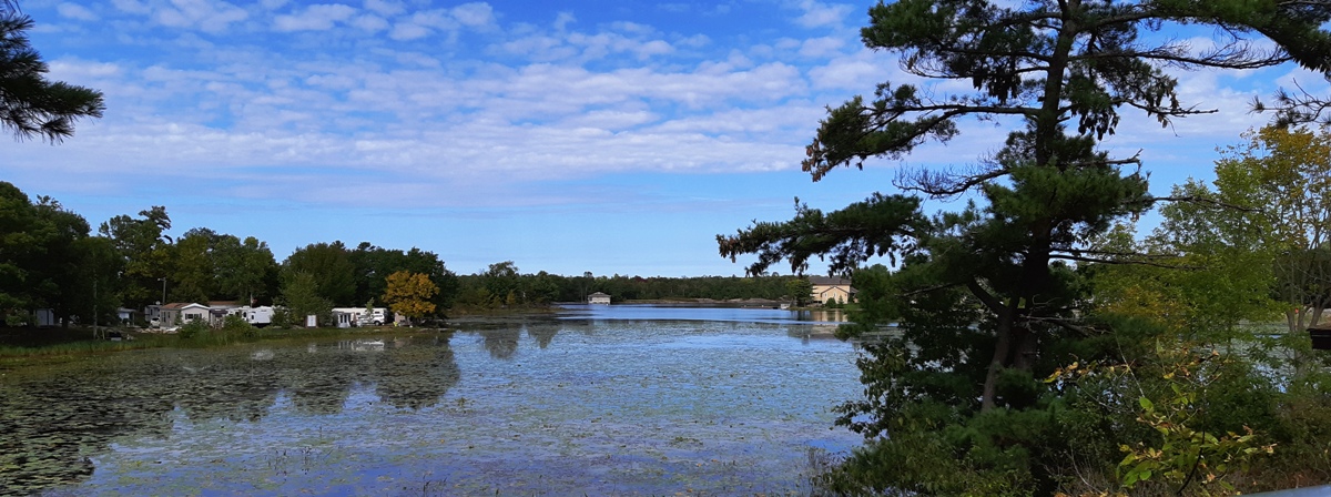 Cottage #1, view through South Bay